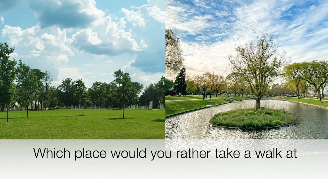 Which place would you rather take a walk at