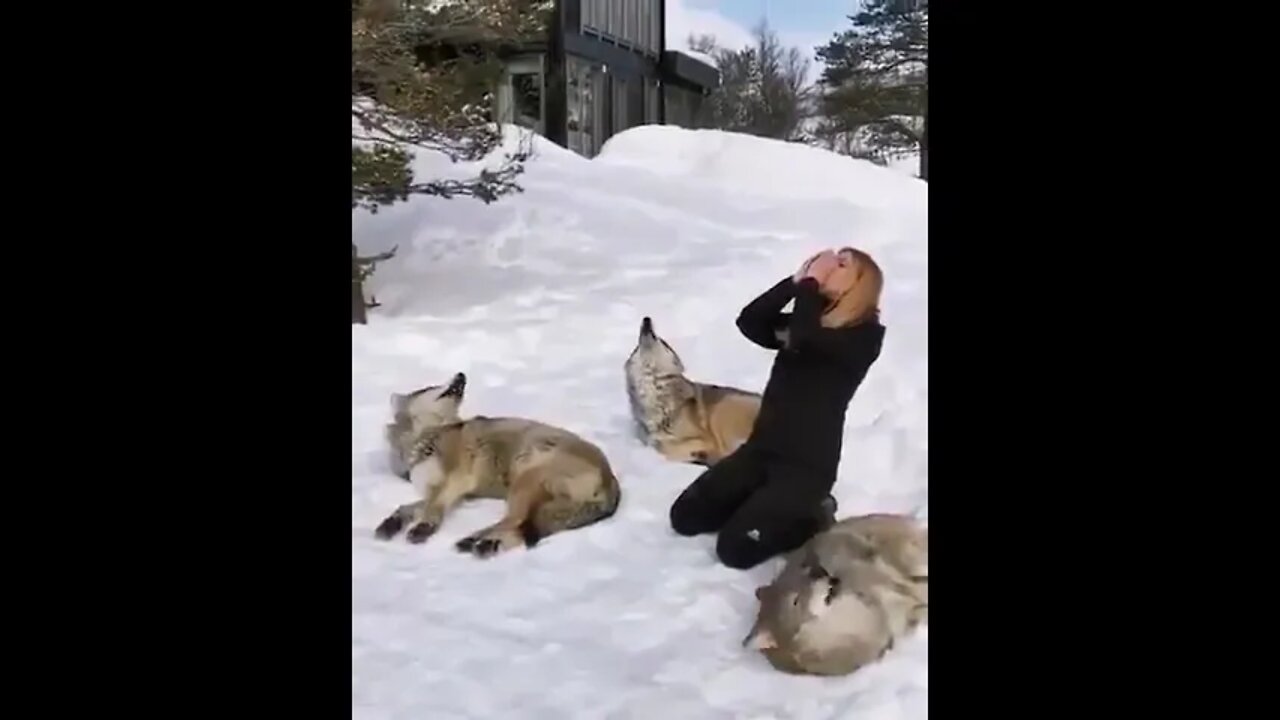 Welcome to the pack 🐺🐺🐺