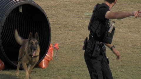 Police, K9s compete Saturday in Boynton Beach