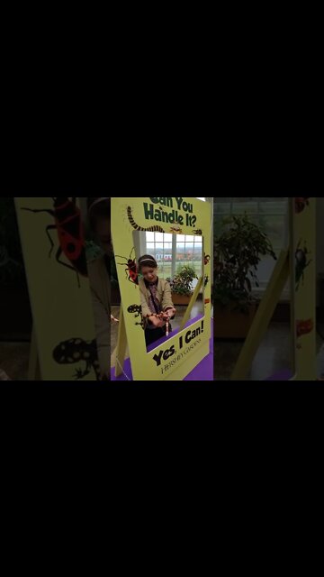 Honduran Milk Snake at Hershey Gardens