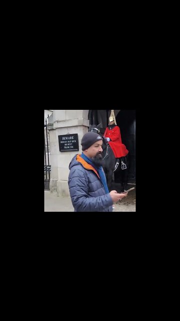 Holding the Reins no reaction #horseguardsparade