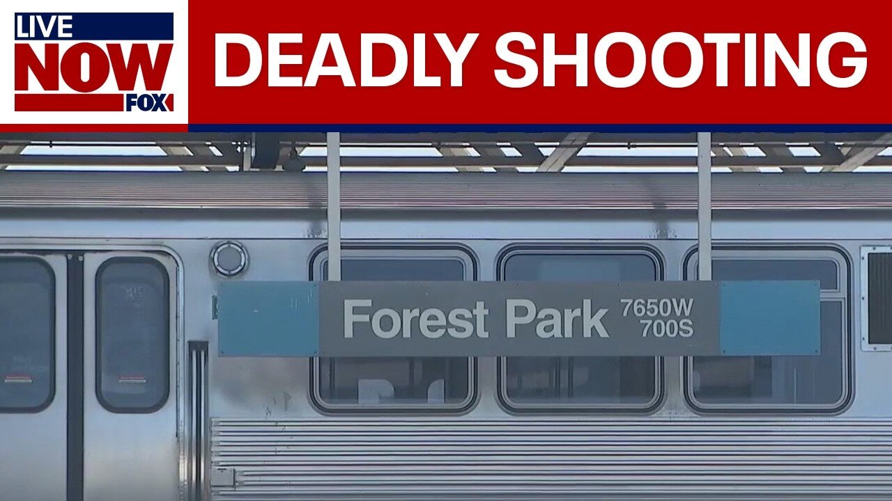 4 people shot to death while sleeping on train in Chicago | LiveNOW from FOX