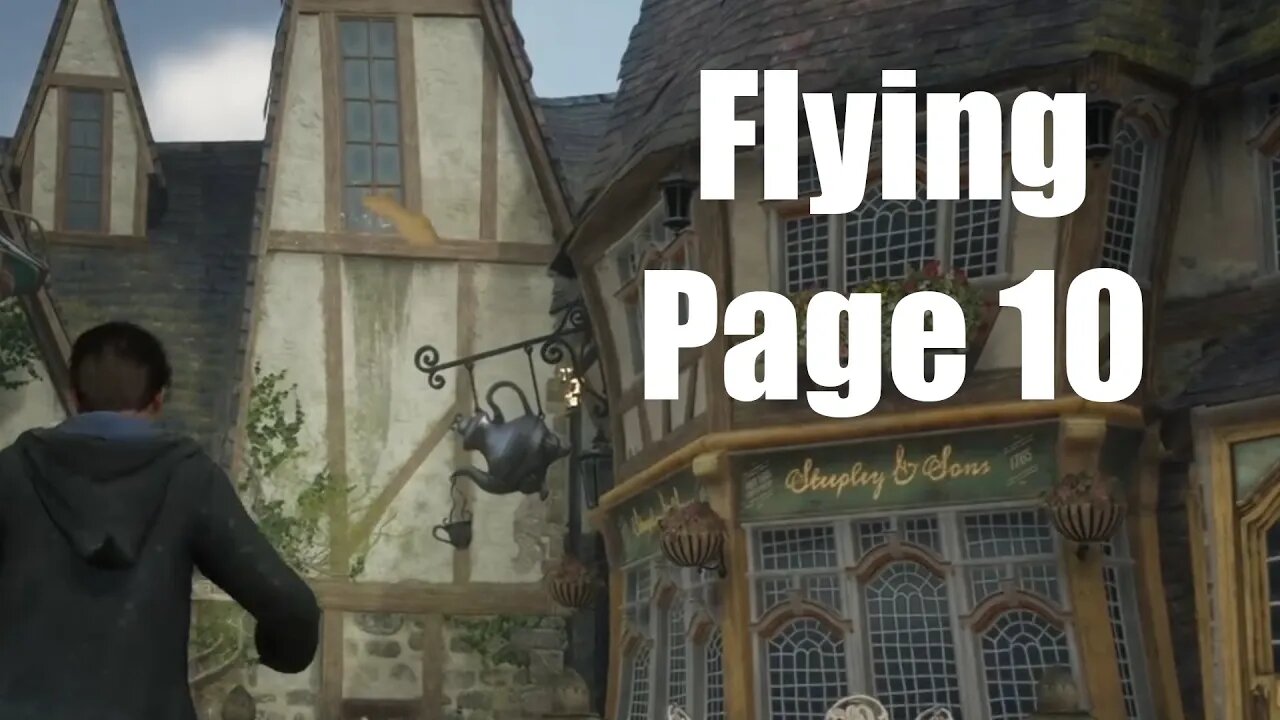 Hogwarts Legacy Flying Page 10