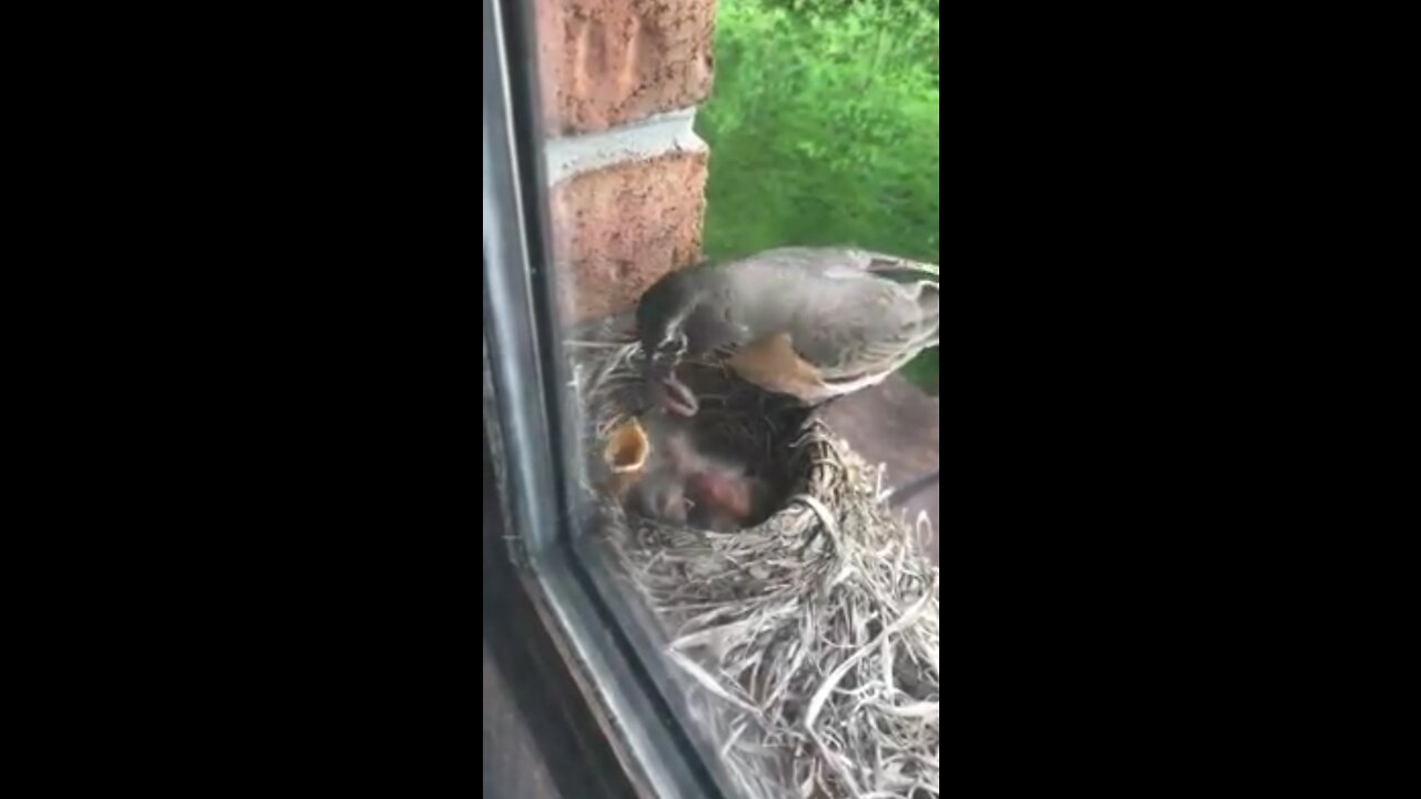 The most beautiful thing you will see today