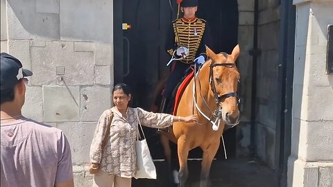 She holds the reins twice #horseguardsparade