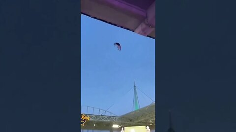 ماذا حصل للقطه في اعلئ الملعب😨
