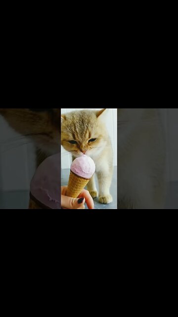 Most Amazing and trending video||relaxing your mind||trendig videos|| #shorts #trending #viral #live