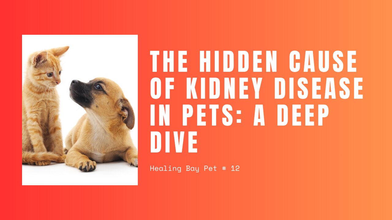 The Hidden Cause of Kidney Disease in Pets: A Deep Dive (Pt. 1)