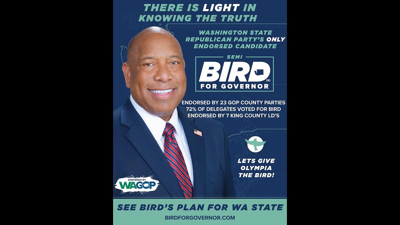Semi Bird - Law and Order
