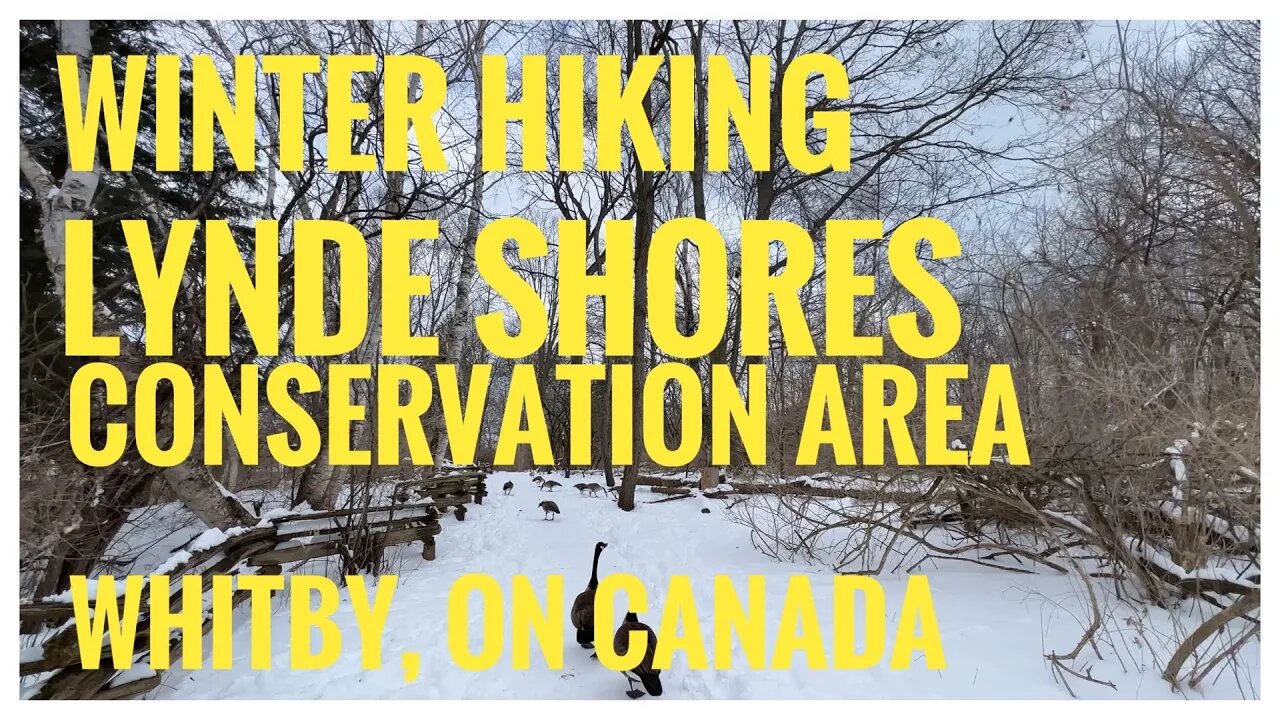 Lynde Shores Conservation Area | Snow-covered Trails | Bird Watching | Whitby, ON 🇨🇦| Hikingvlog