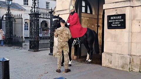 horse heads for the road for a second time guard control the horse just in time #horseguardsparade