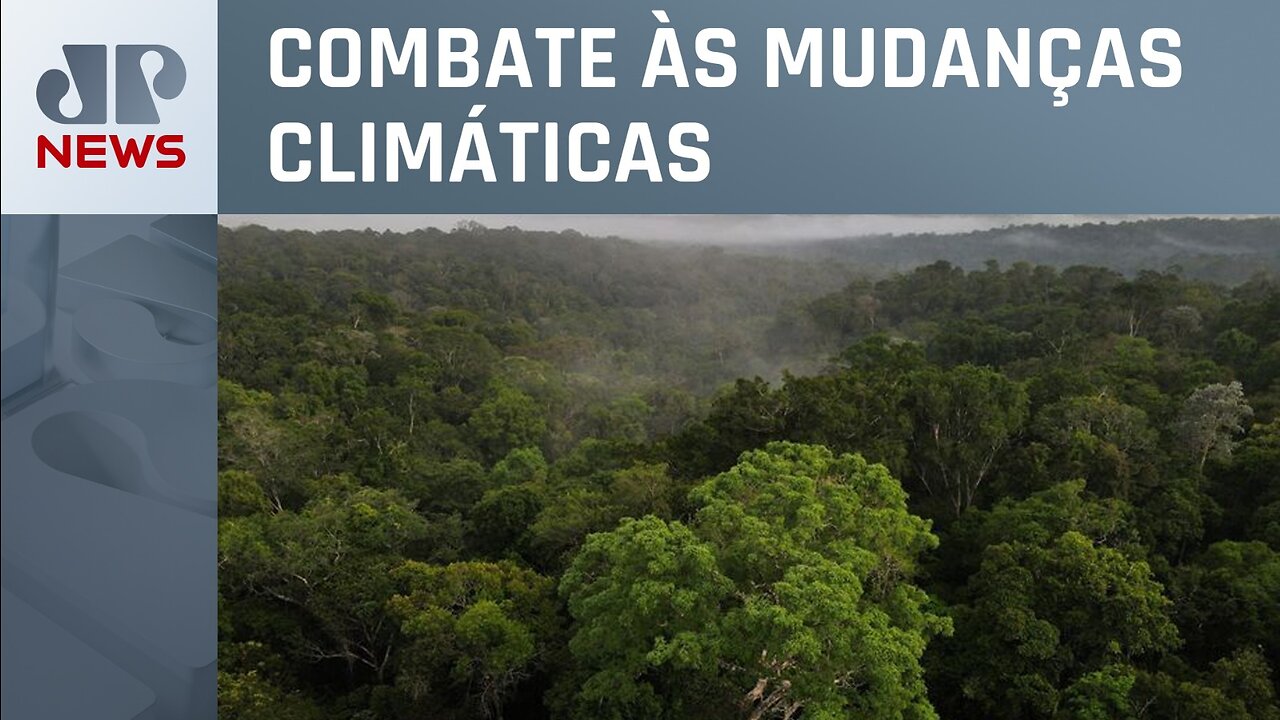 Ministério do Meio Ambiente e BNDES relançam Fundo Clima