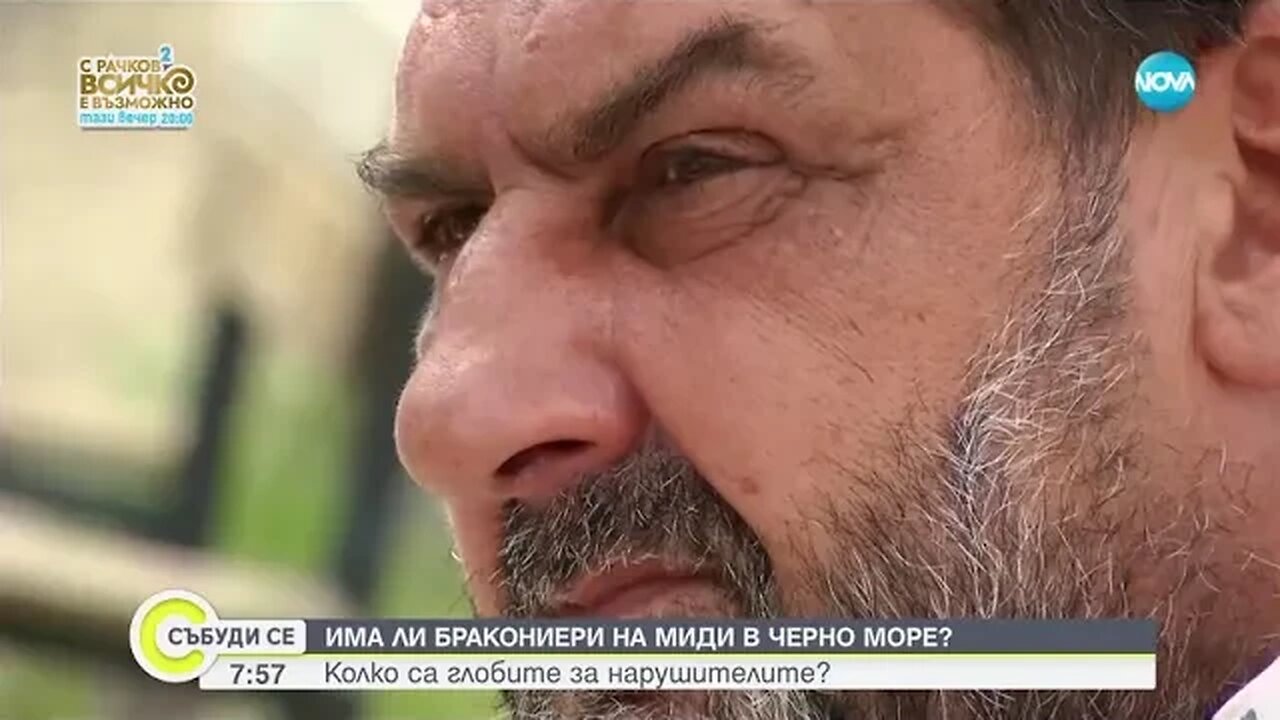 Започват проверки за незаконен улов на миди по Черноморието