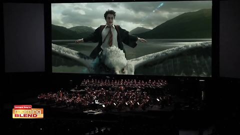 Harry Potter Orchestra | Morning Blend