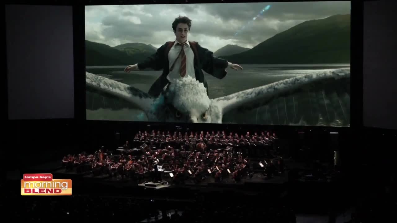 Harry Potter Orchestra | Morning Blend
