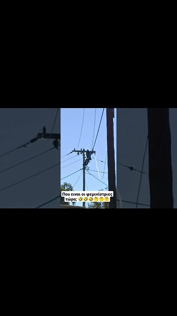 φεμινίστριες left the chat!