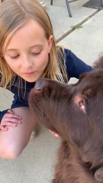 Watch tis little girl voraciously defends dog... again!