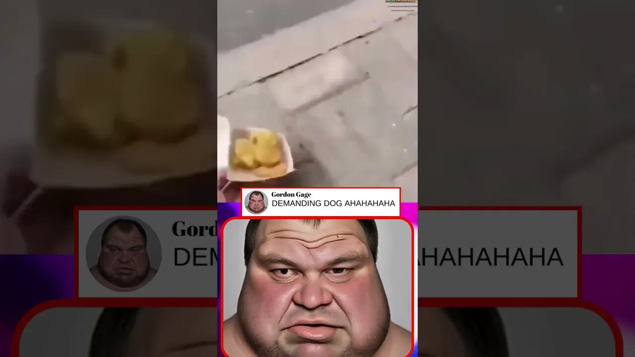 Best react funny videos gordon reacts #shorts