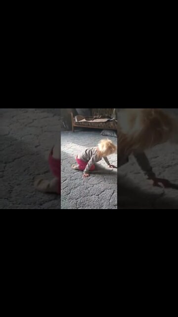 Ready To Call Coyotes! #shorts