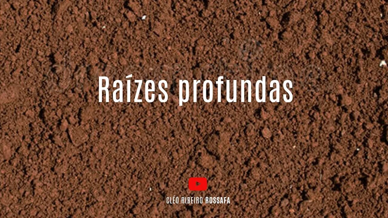 Série Caráter forte EP 104 | RAÍZES PROFUNDAS| Bispa Cléo