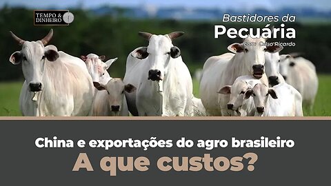 China e exportações do agro brasileiro. A que custos? Veja o comentário do consultor Celso Ricardo