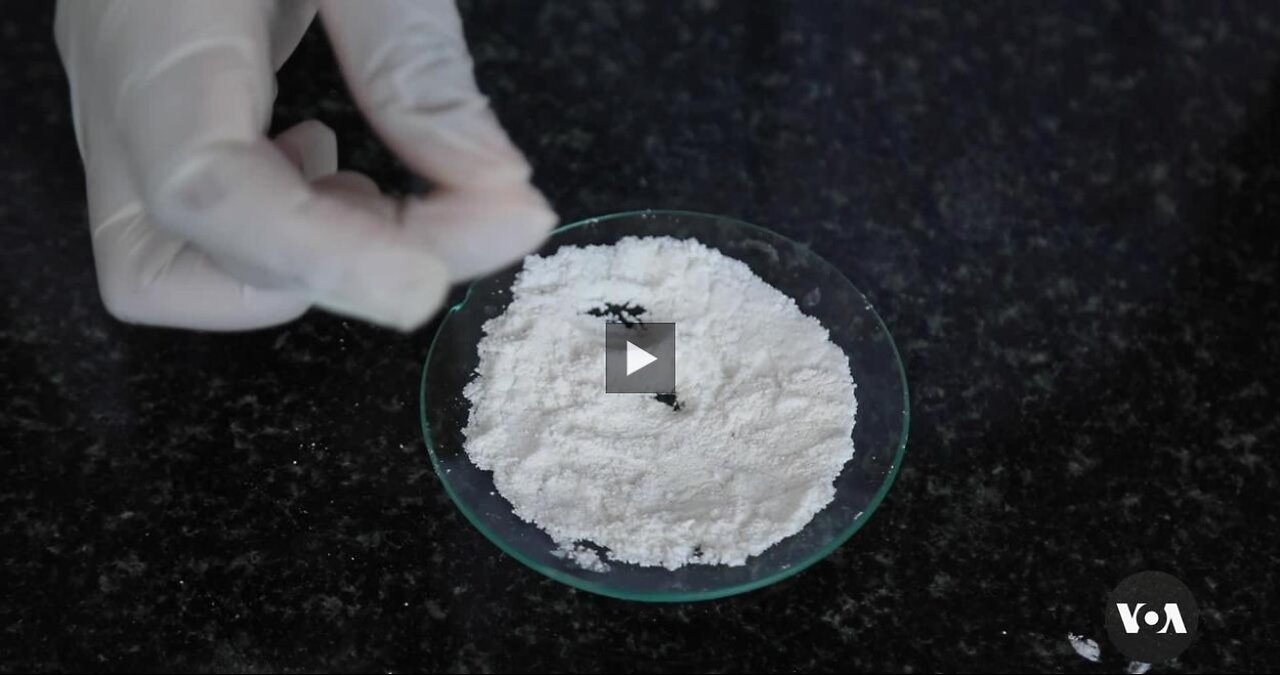 University Student Innovators Manufacture Flour Using Grass