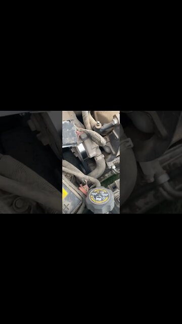 Fucking mint #shorts