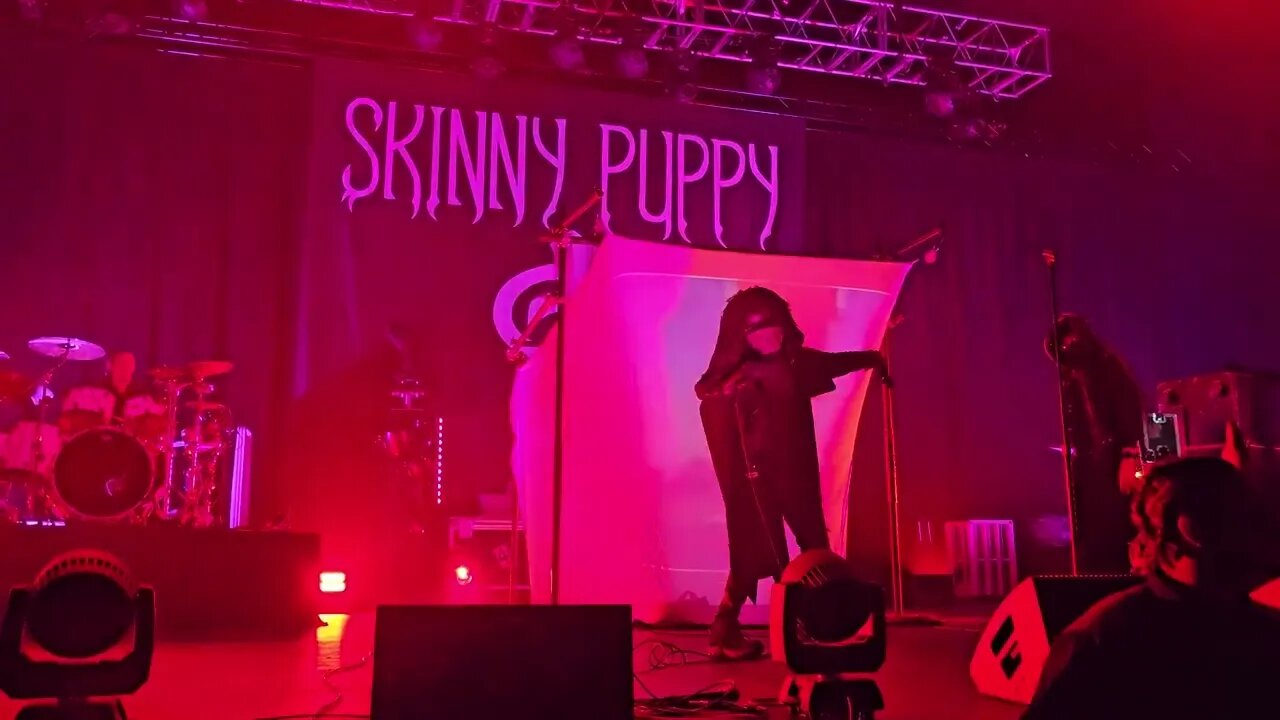 Skinny Puppy in Houston song Love in Vein