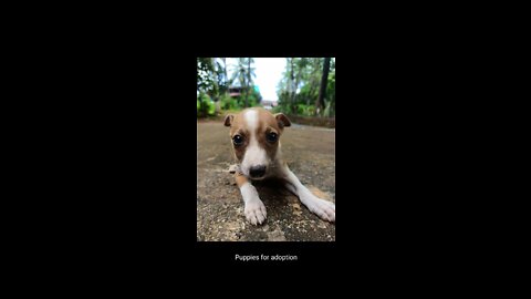 # funny video//hurt 🤣🤣🤣😜😜😜😜