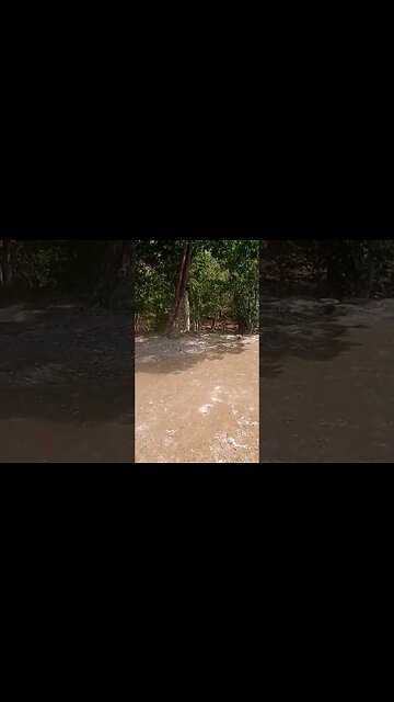 Acopolis Level B and the 4 level temples