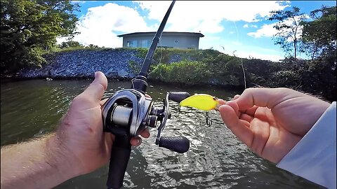 20 Min. UNCUT River Bass Fishing!