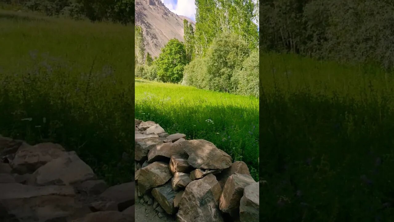 mashaallah bahaar #nature #spring