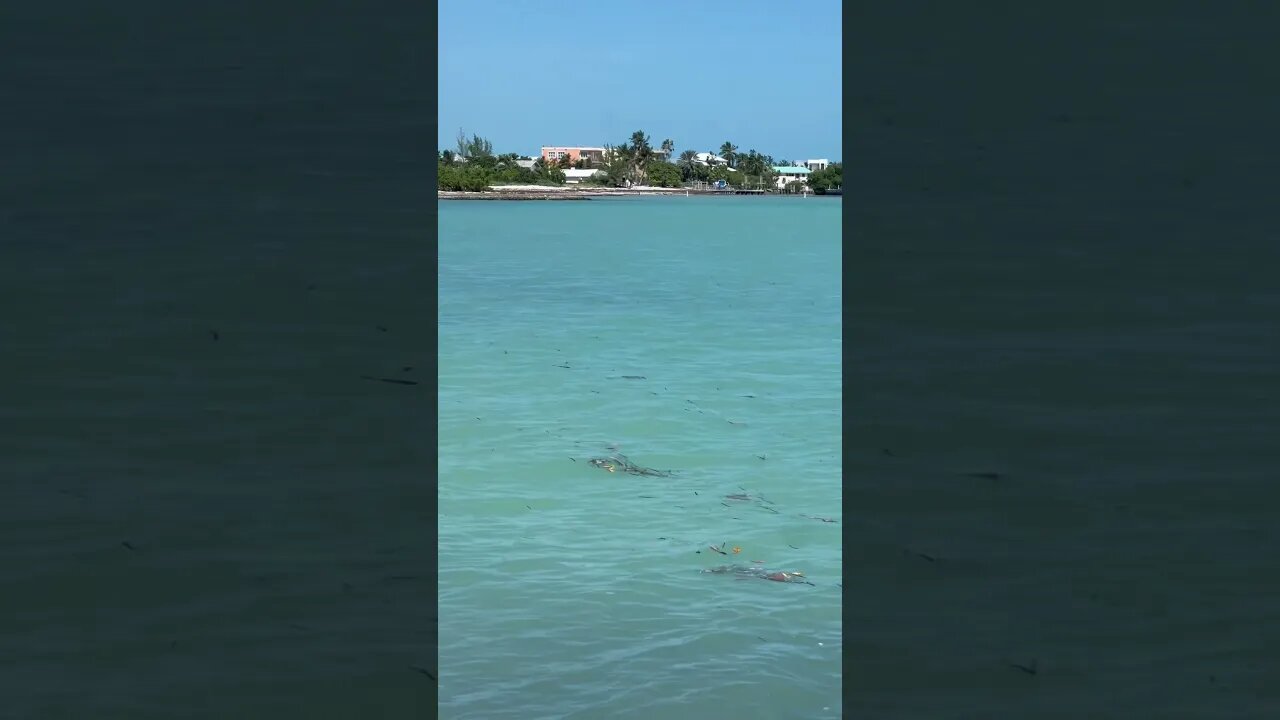 Sombrero Beach, Florida Keys