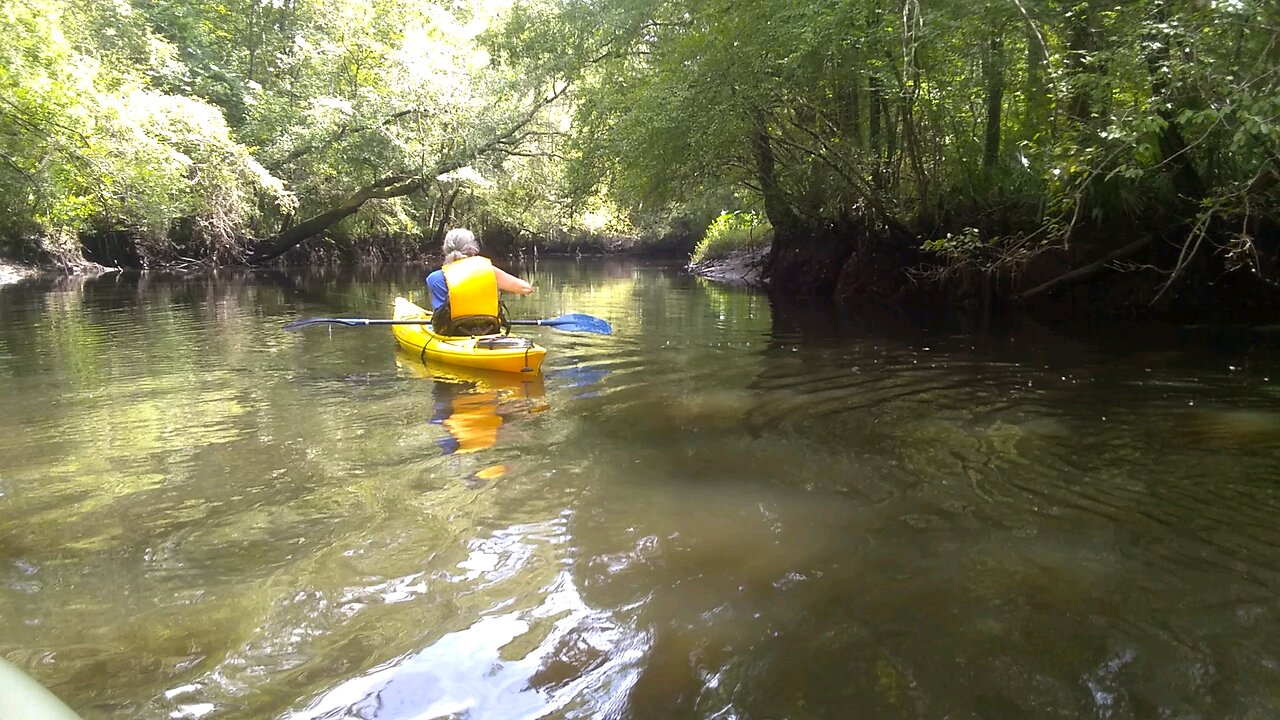 Ashley River, SC