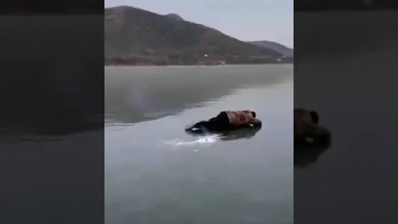 11 марта 2023 г.