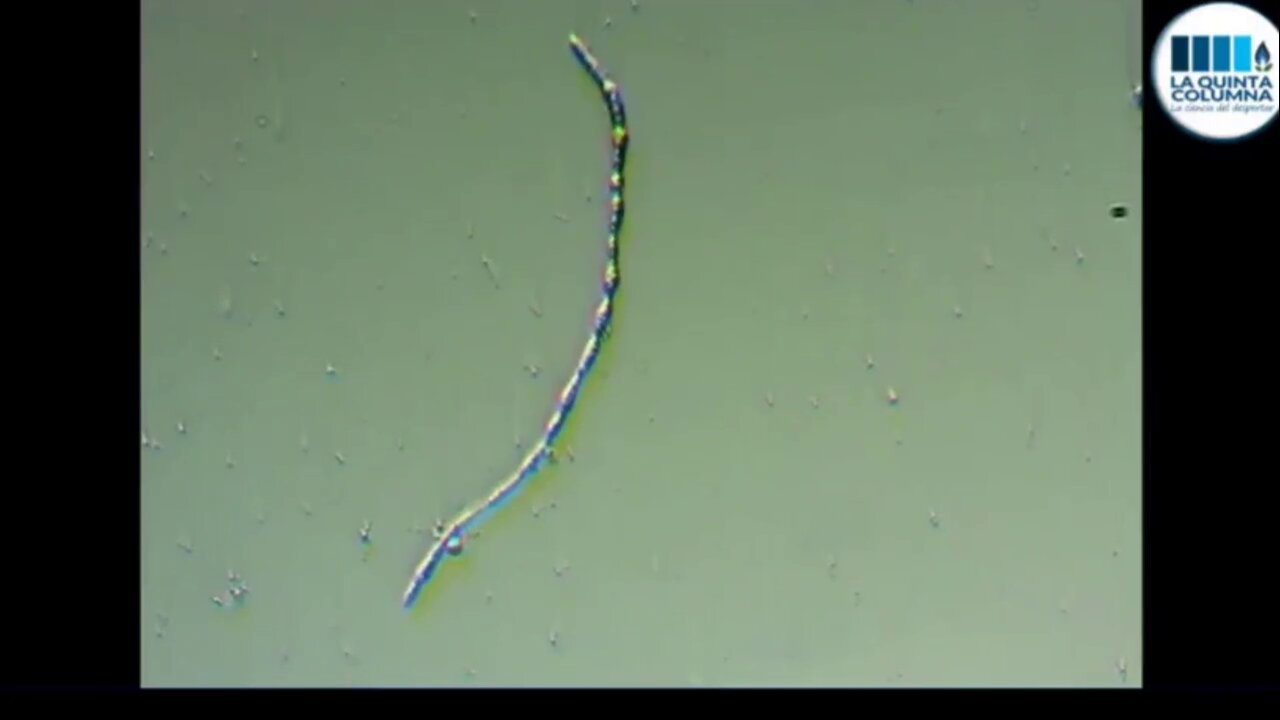 Analysis of a single drop of the Pfizer "vaccine", as of December 26, 2022