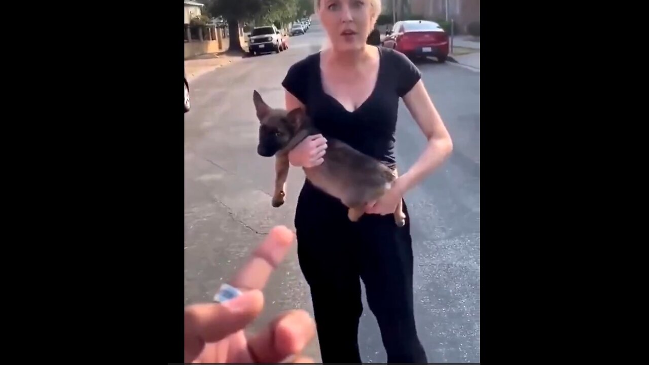 Crazy female attacks man with a pup.