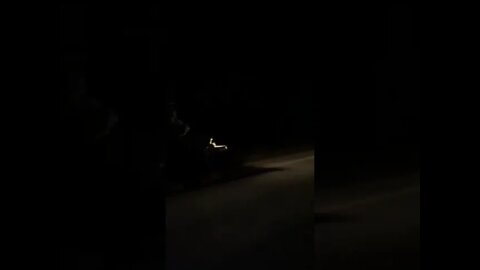 Russian Vehicles Advancing towards Kyiv