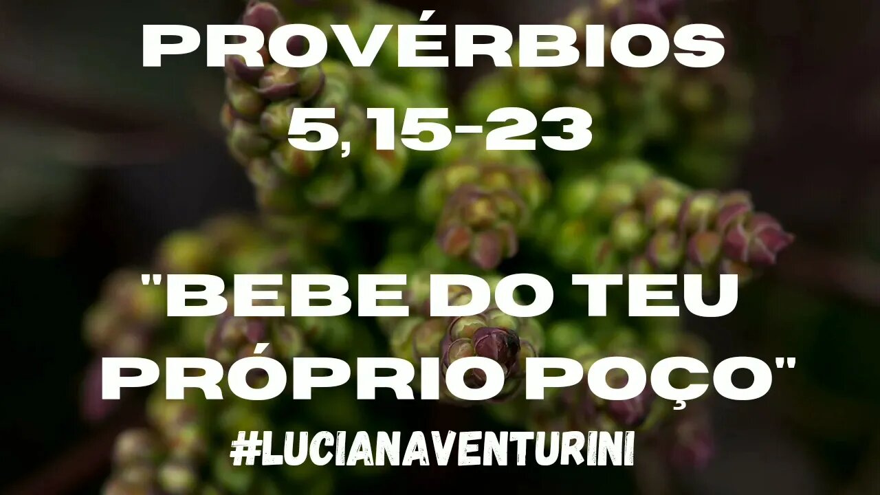 Provérbios 5, 15-23 "Bebe do teu próprio poço" #lucianaventurini #desenvolvimentopessoal #proverbios