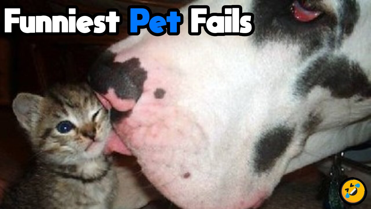 Funniest Pet Fails | 2024 Best Moments