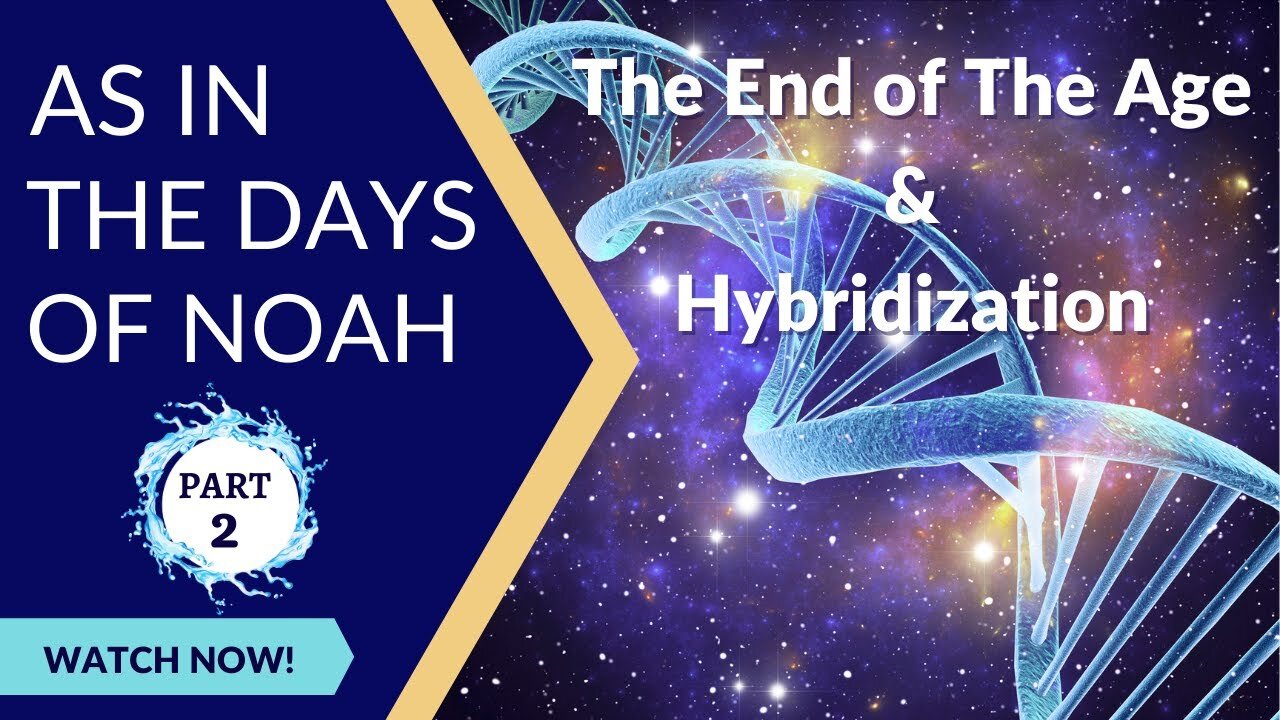 As In the Days of Noah 🌊 | Part 2 | The End of the Age 😲 and Hybridization 💉