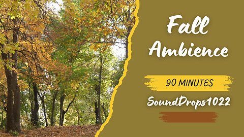 90-Minute Fall Escape: Peaceful Autumn Sounds