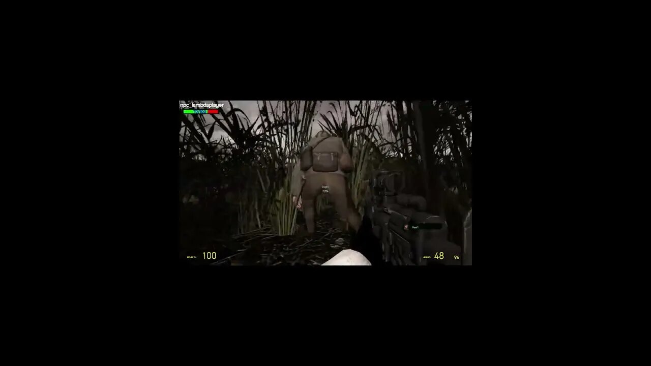 This NPC, tried to pull a fast one! #shorts #garrysmod