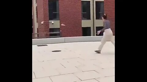 Bird Snatching #ytshorts #shorts #PetpupFun #Fun #Dogs #Cats #Entertaiment #trending #viral