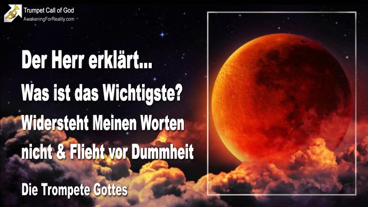 11.12.2010 🎺 Flieht vor Dummheit... Was ist das Wichtigste? Widersteht Meinen Worten nicht