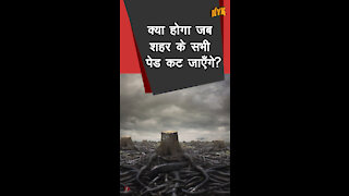 क्या होगा जब सभी शहर के पेड़ कट जाये