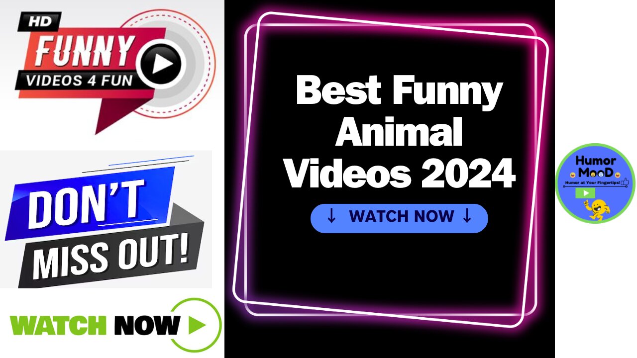 Best Funny Animal Videos 2024: Funniest Cats and Dogs Compilation!