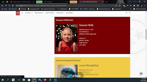 Summer Wells AMBER Alert???