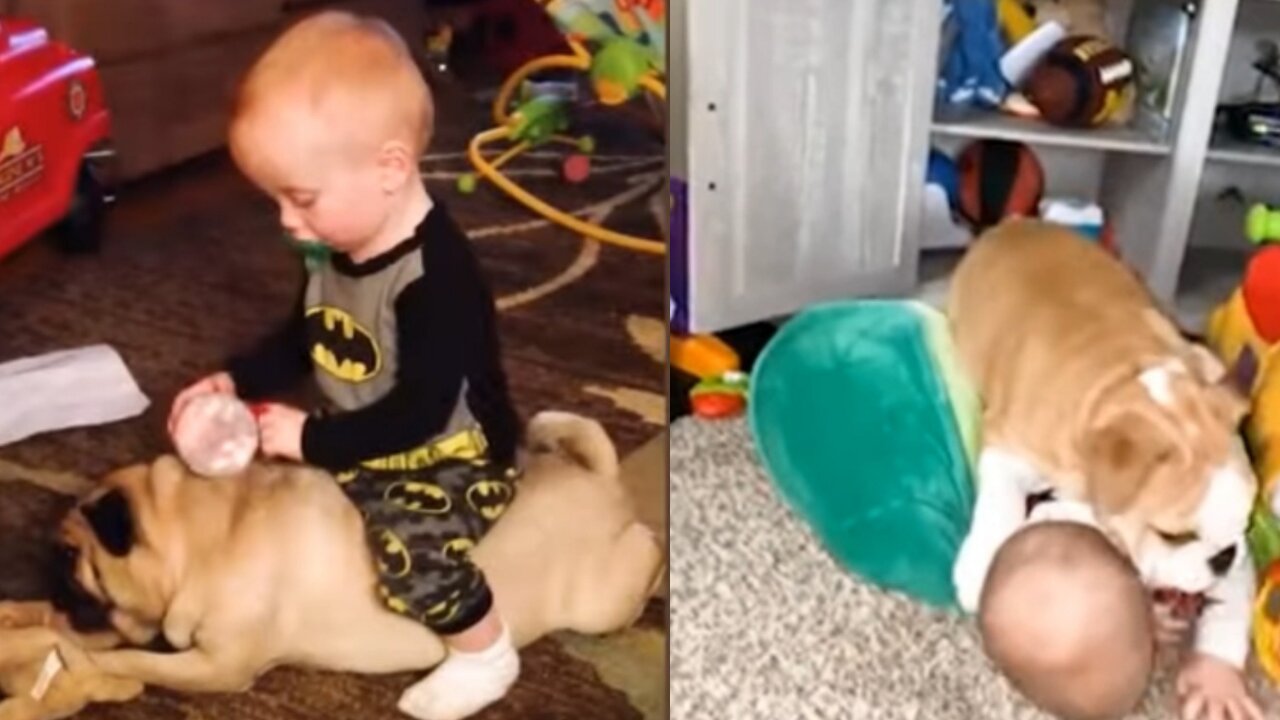 "Baby and Dog's Adorable Playtime: Funny and Cute Moments Compilation"