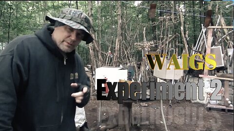 WAIGS Experiment 2